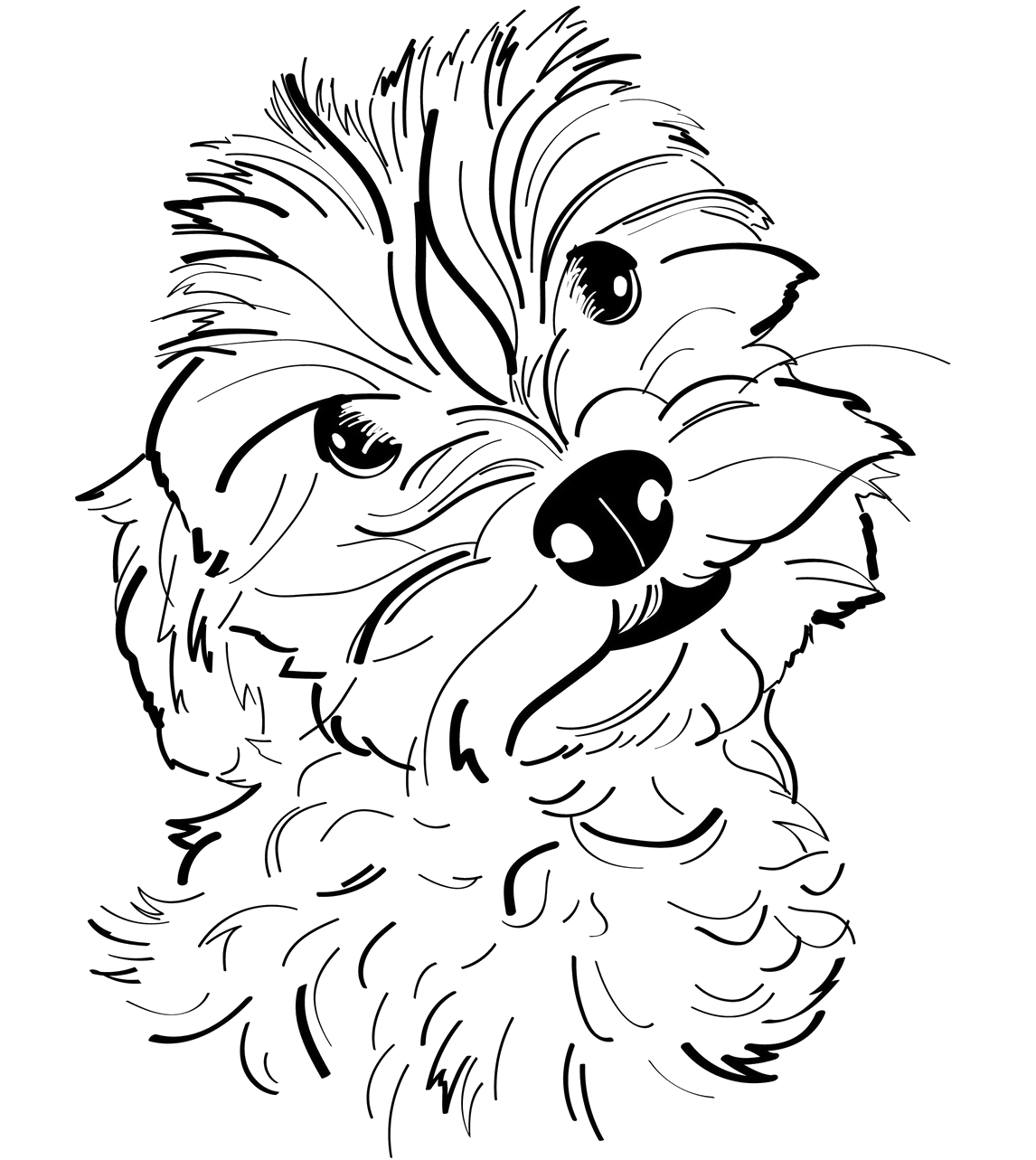 Écrevisse